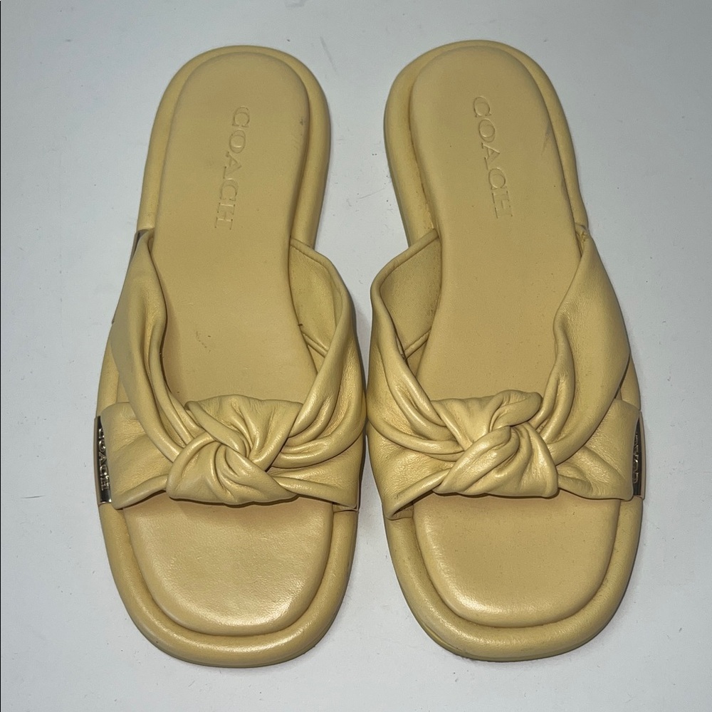 Coach Brooklyn - image 3